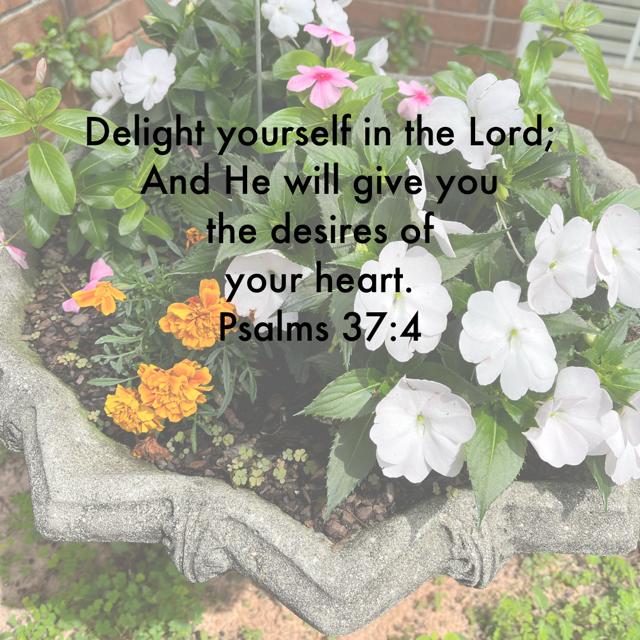 Flowers represent joy to me. My mom was an amazing gardener! I want to spread joy as she did.